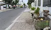 parboaboa